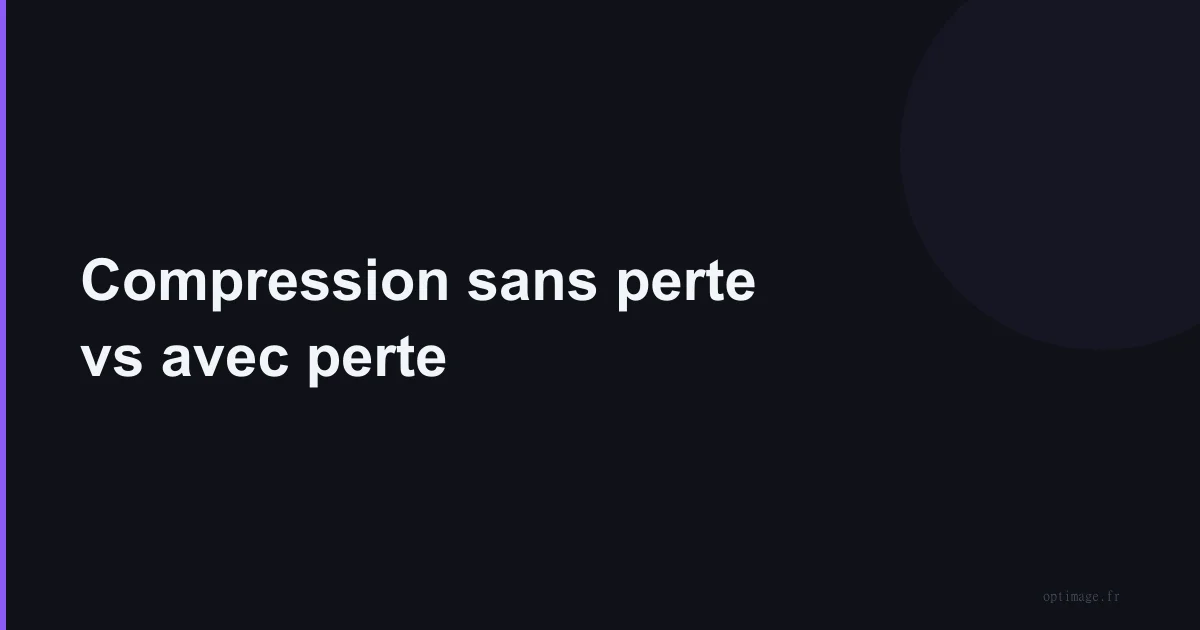 Compression sans perte vs avec perte